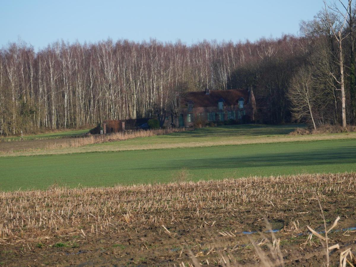 La Cabane Du Chasseur Flines-Les-Mortagne Экстерьер фото