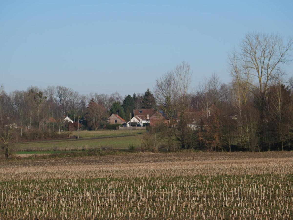 La Cabane Du Chasseur Flines-Les-Mortagne Экстерьер фото